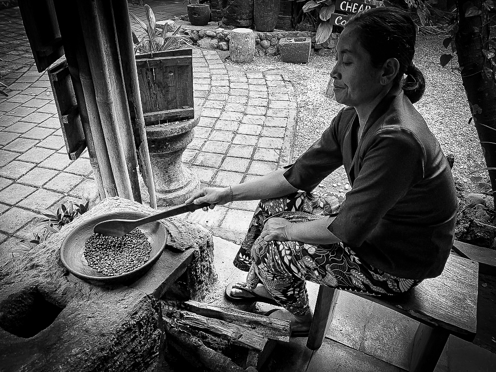 civet cat, luwak coffee, ubud, Bali, Indonesia